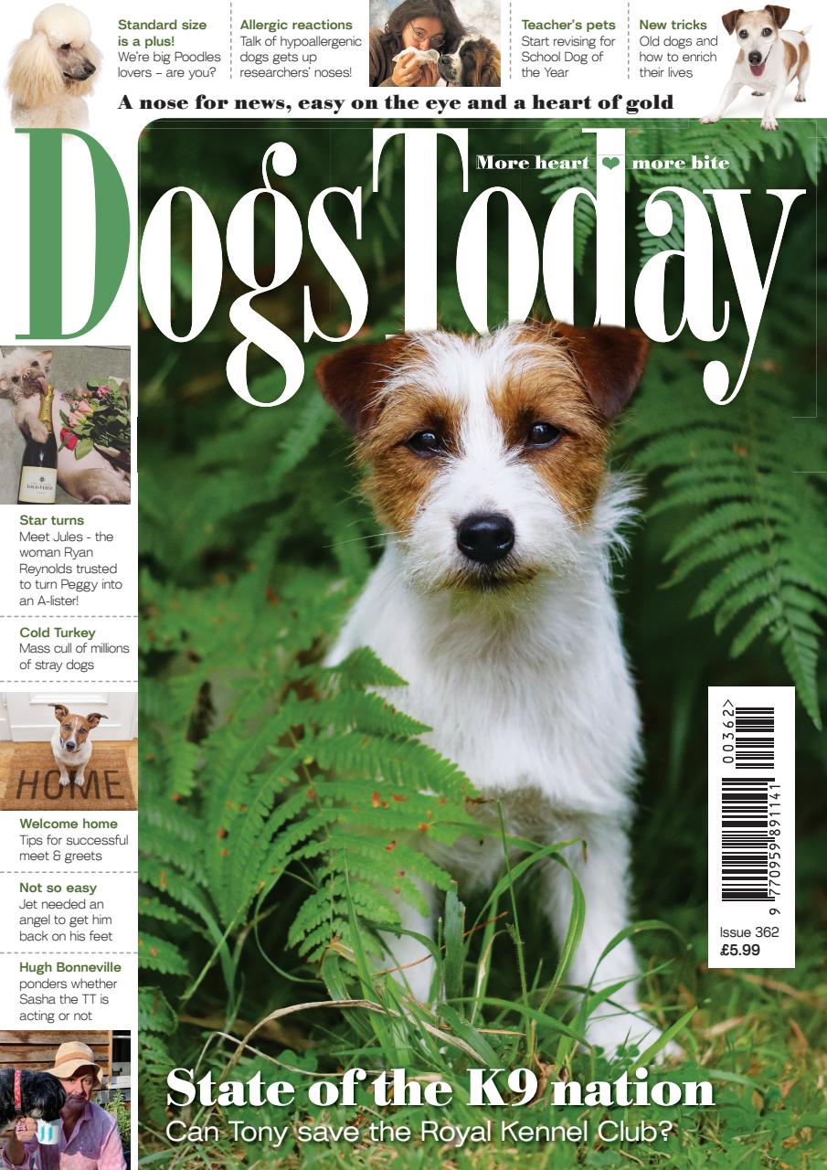 Dogs Today Magazine Preview Pages