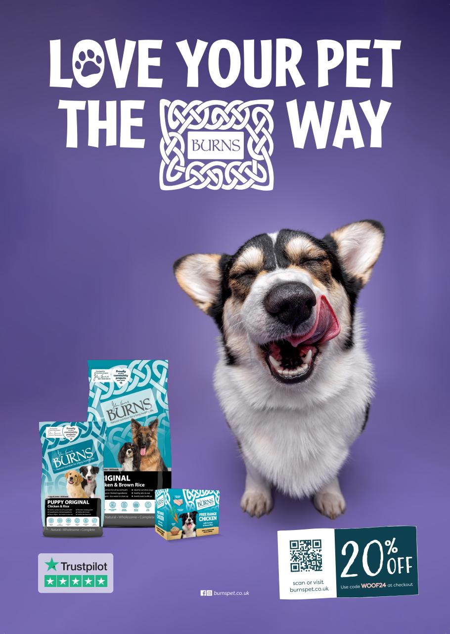 Dogs Today Magazine Preview Pages