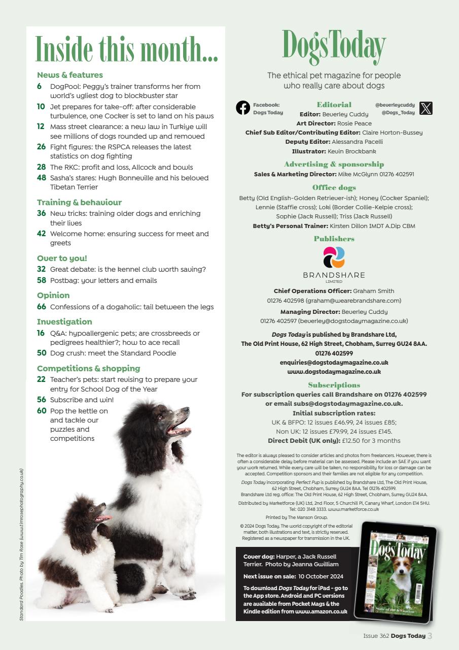 Dogs Today Magazine Preview Pages