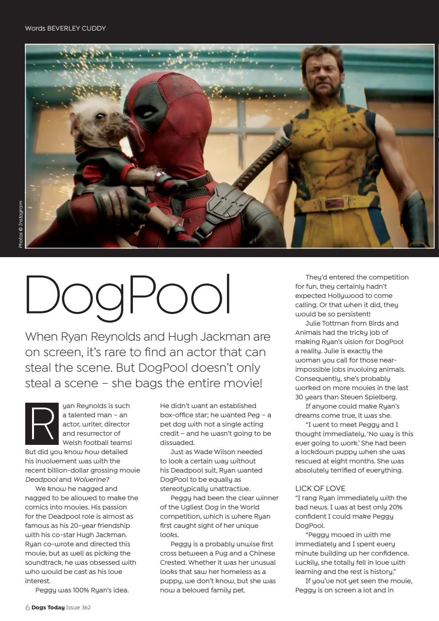 Dogs Today Magazine Preview Pages