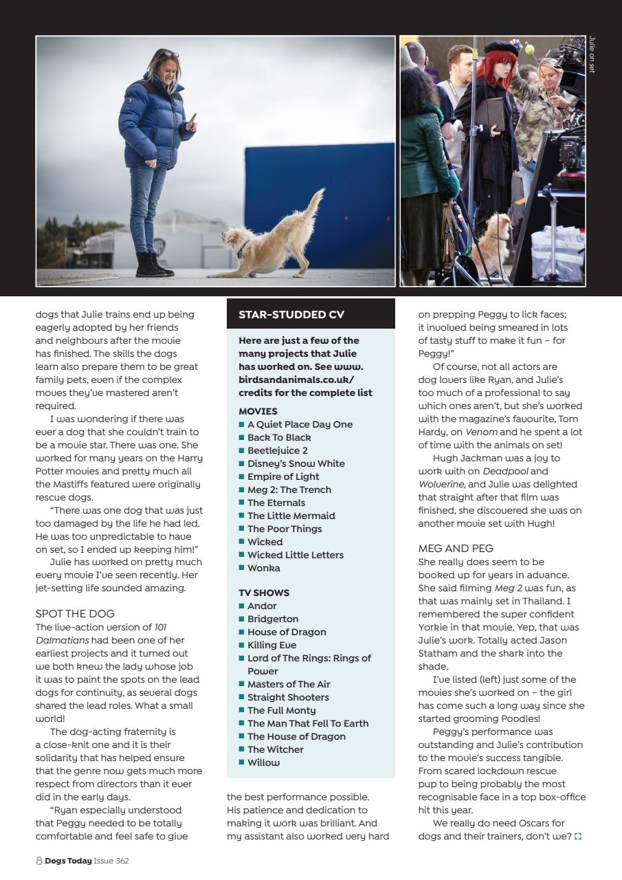 Dogs Today Magazine Preview Pages