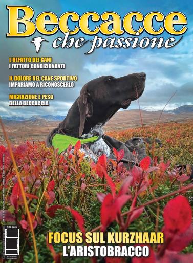 BECCACCE CHE PASSIONE issue 