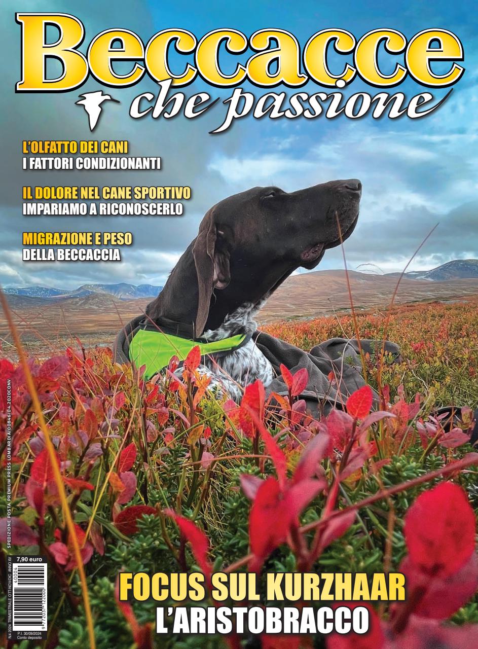 BECCACCE CHE PASSIONE Preview Pages