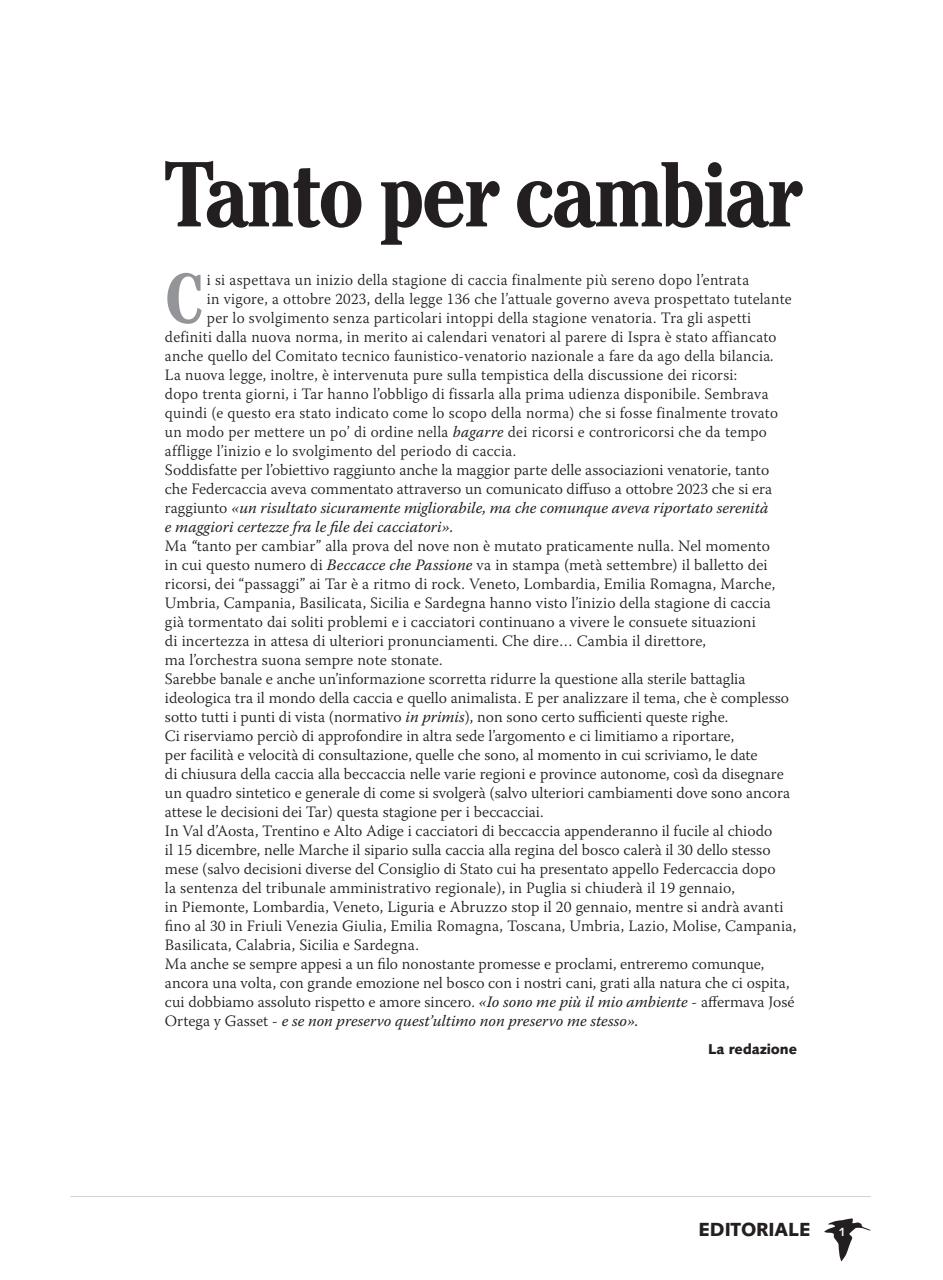 BECCACCE CHE PASSIONE Preview Pages