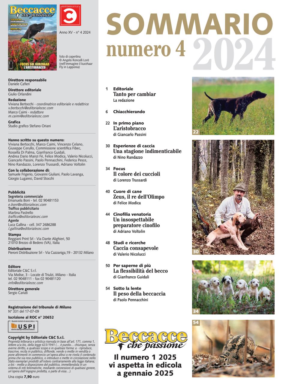 BECCACCE CHE PASSIONE Preview Pages