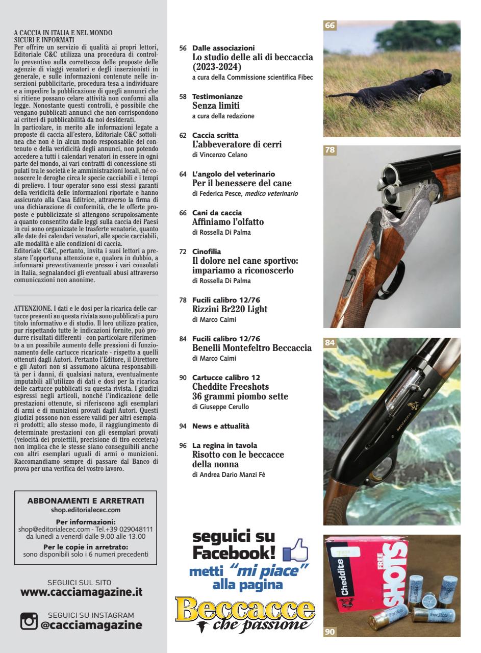 BECCACCE CHE PASSIONE Preview Pages