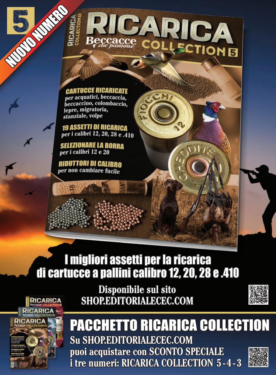 BECCACCE CHE PASSIONE Preview Pages