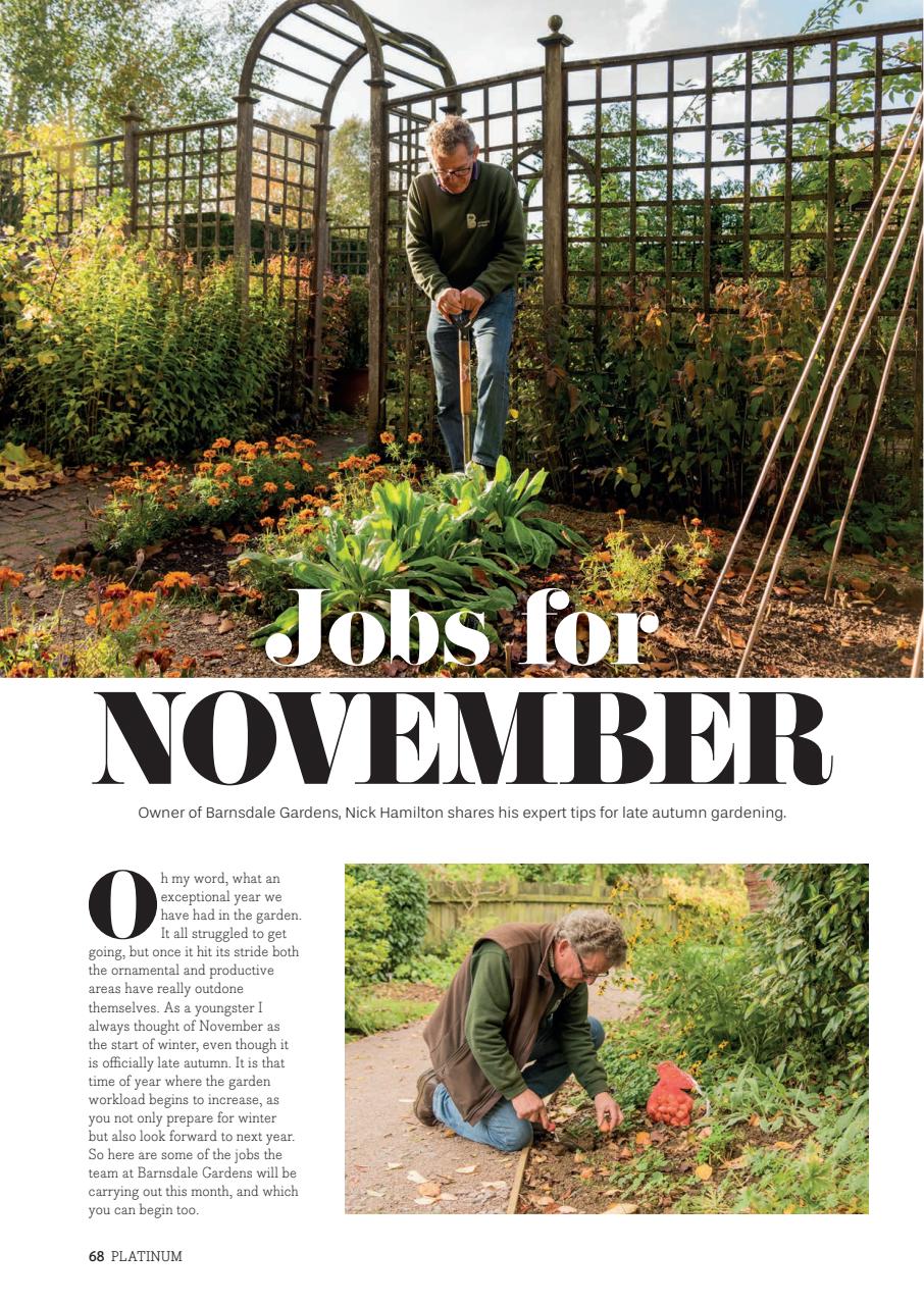 Platinum Preview Pages