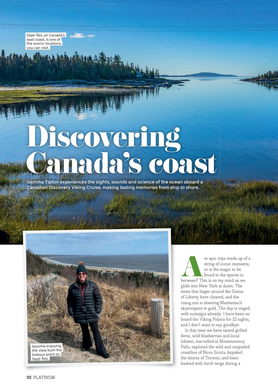 Platinum Preview Pages