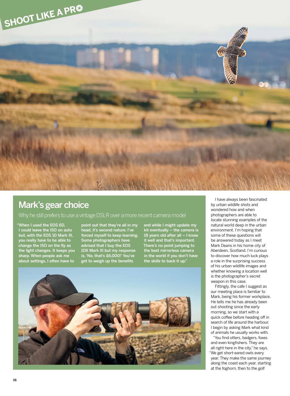 Digital Photographer Preview Pages