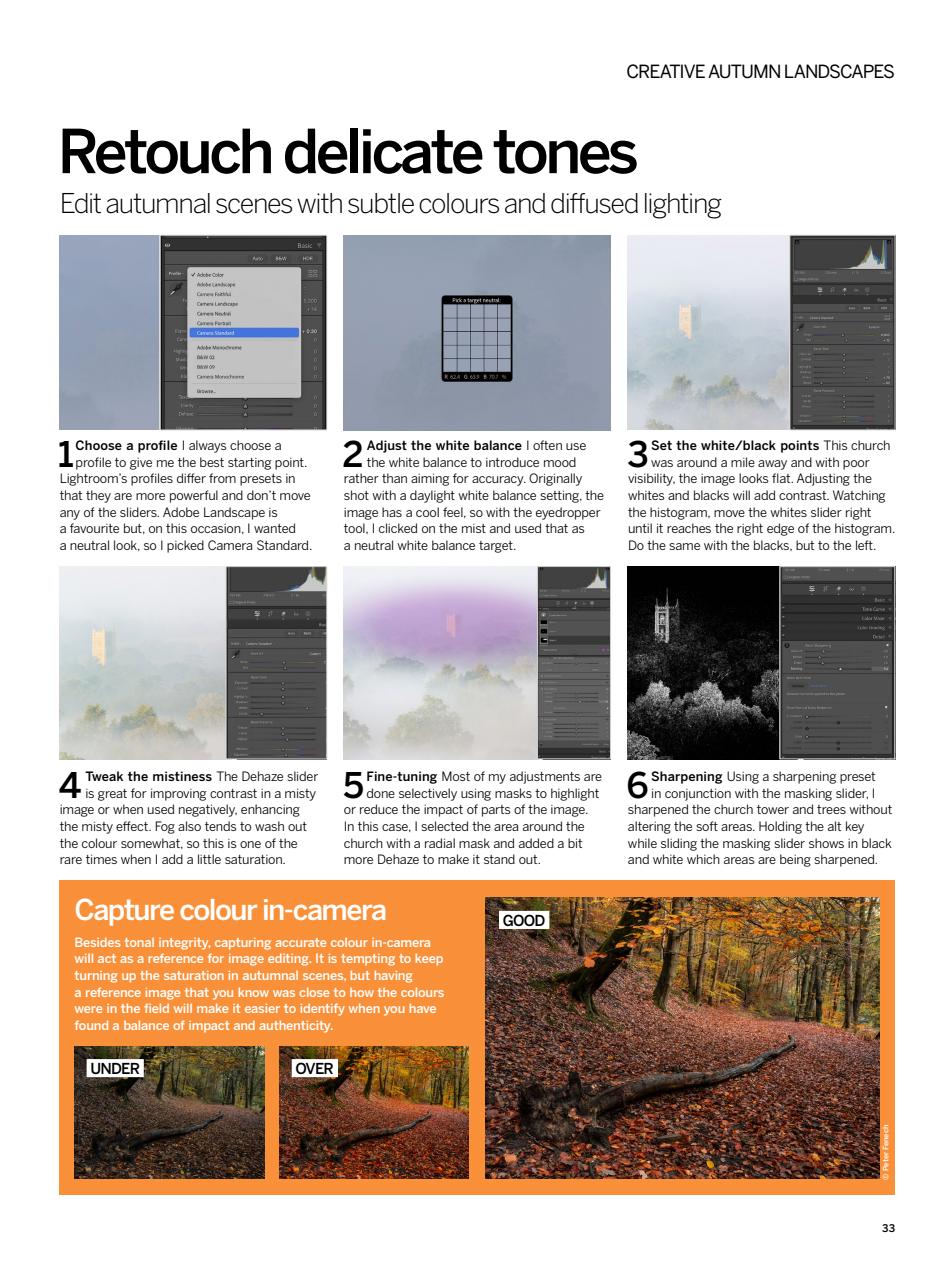 Digital Photographer Preview Pages