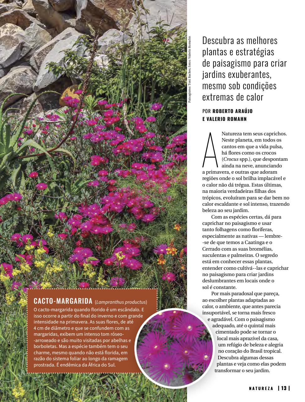 Natureza Preview Pages