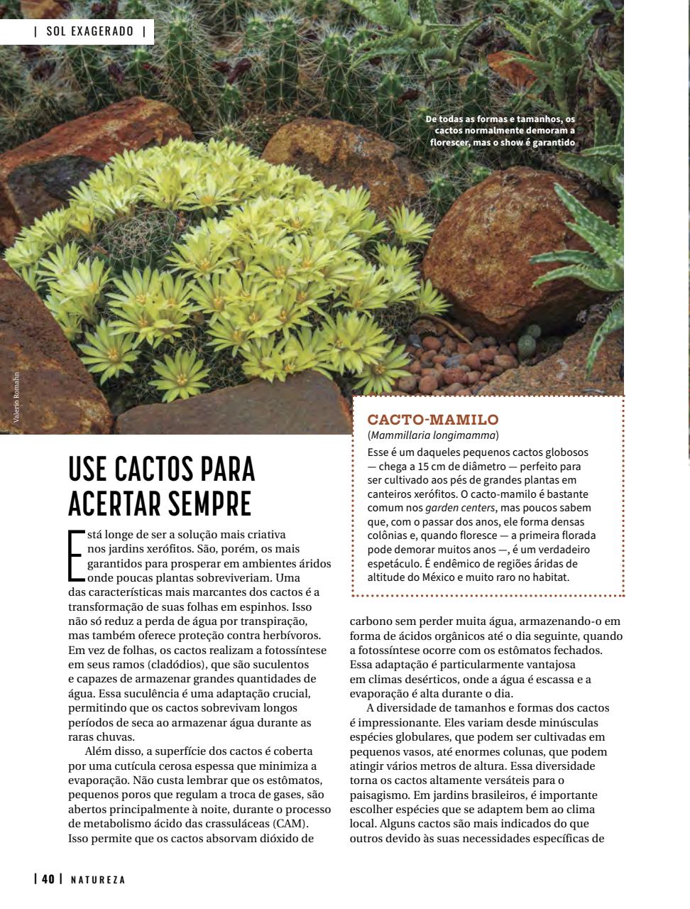 Natureza Preview Pages