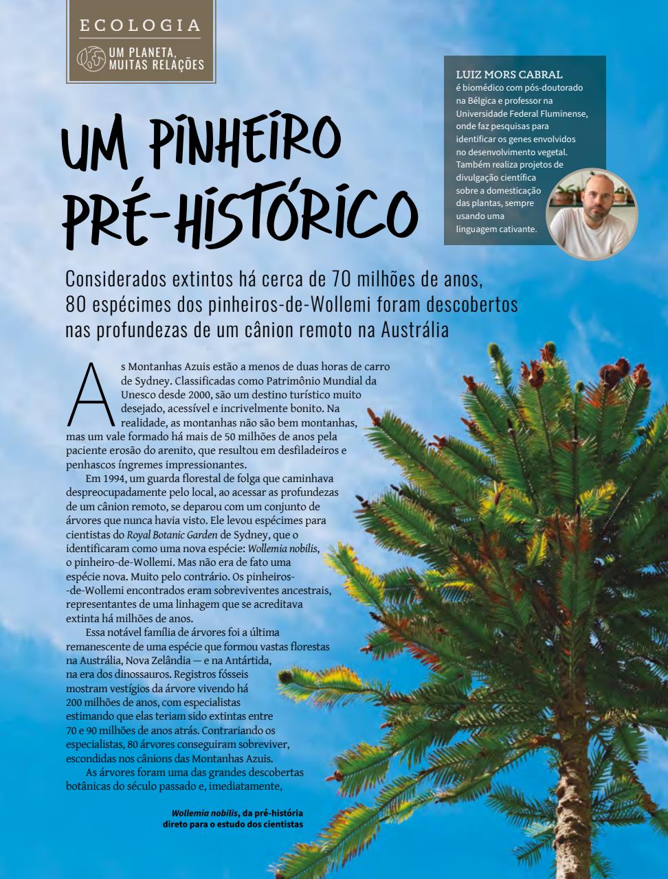 Natureza Preview Pages