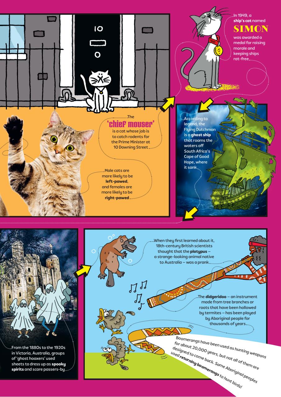 What on Earth! Magazine Preview Pages