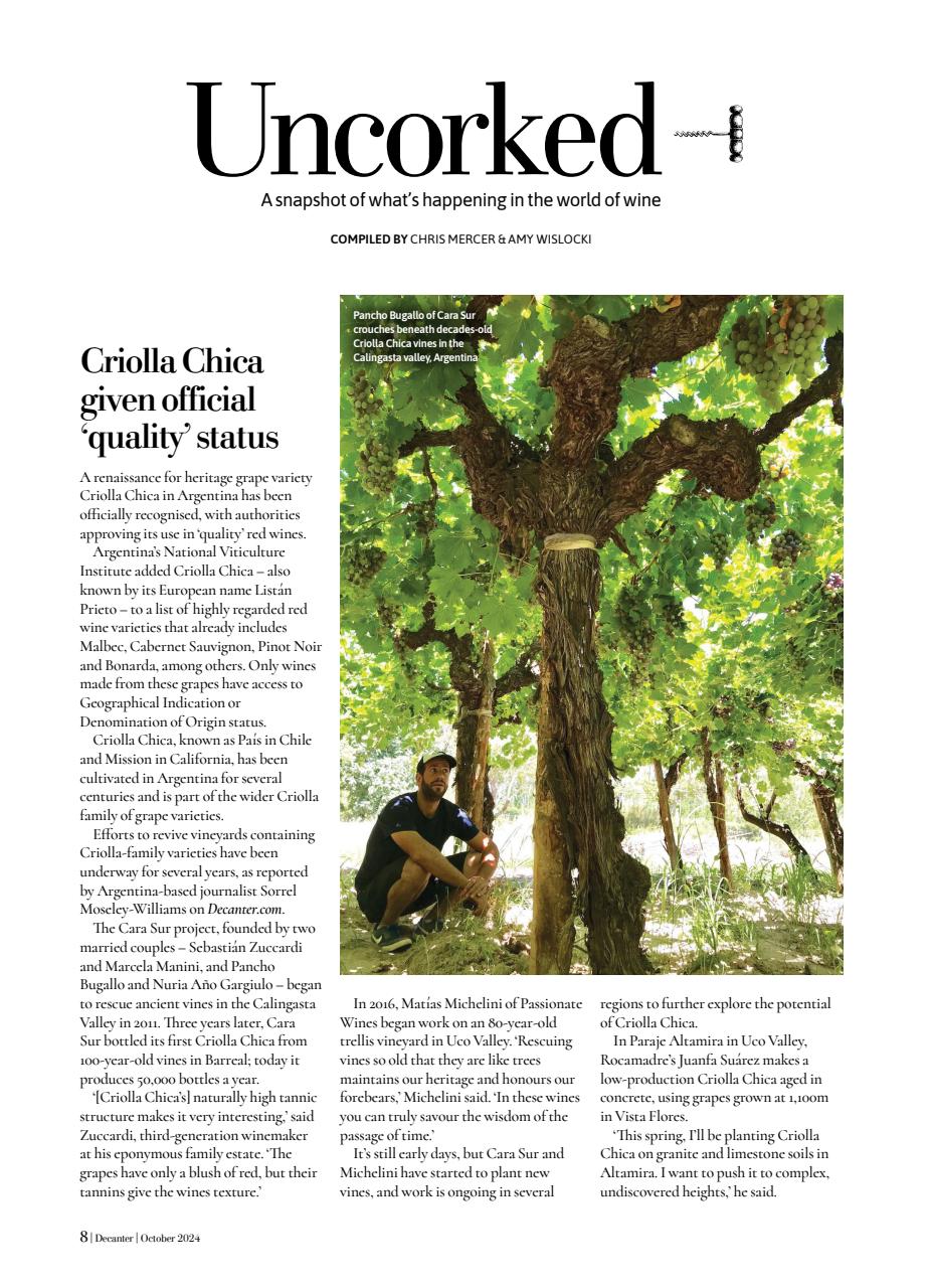 Decanter Preview Pages