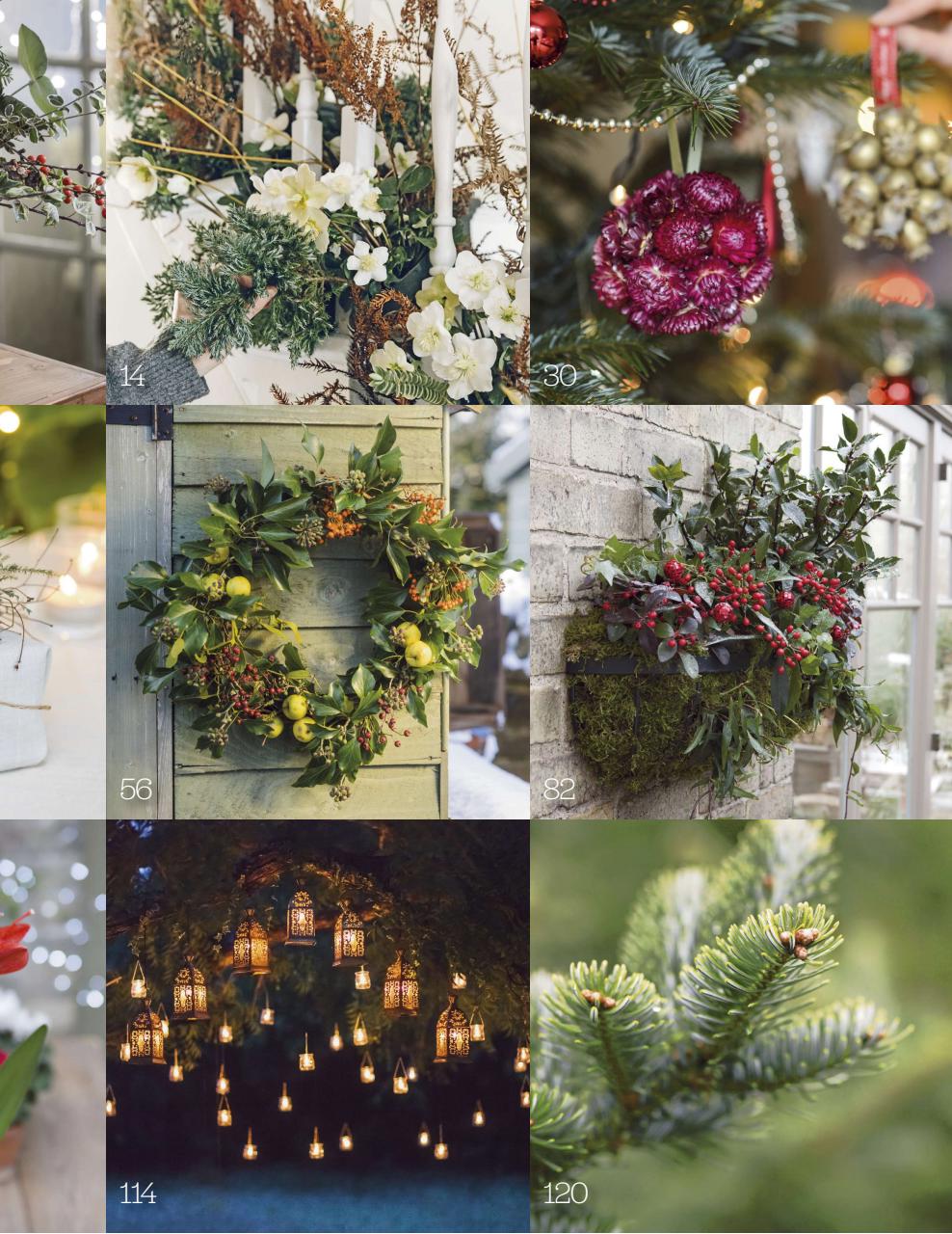 BBC Gardeners’ World Magazine Preview Pages