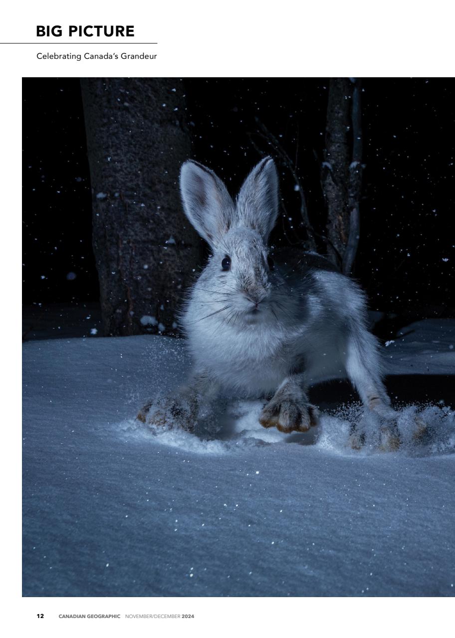 Canadian Geographic Preview Pages