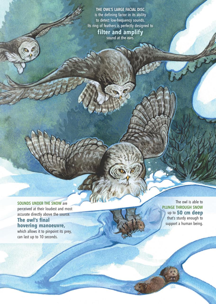 Canadian Geographic Preview Pages