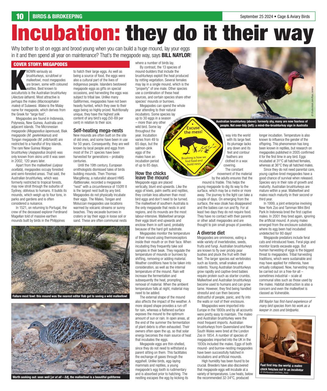 Cage & Aviary Birds Preview Pages