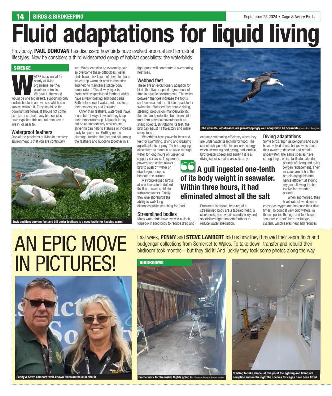 Cage & Aviary Birds Preview Pages