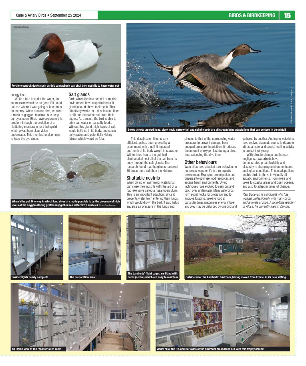 Cage & Aviary Birds Preview Pages