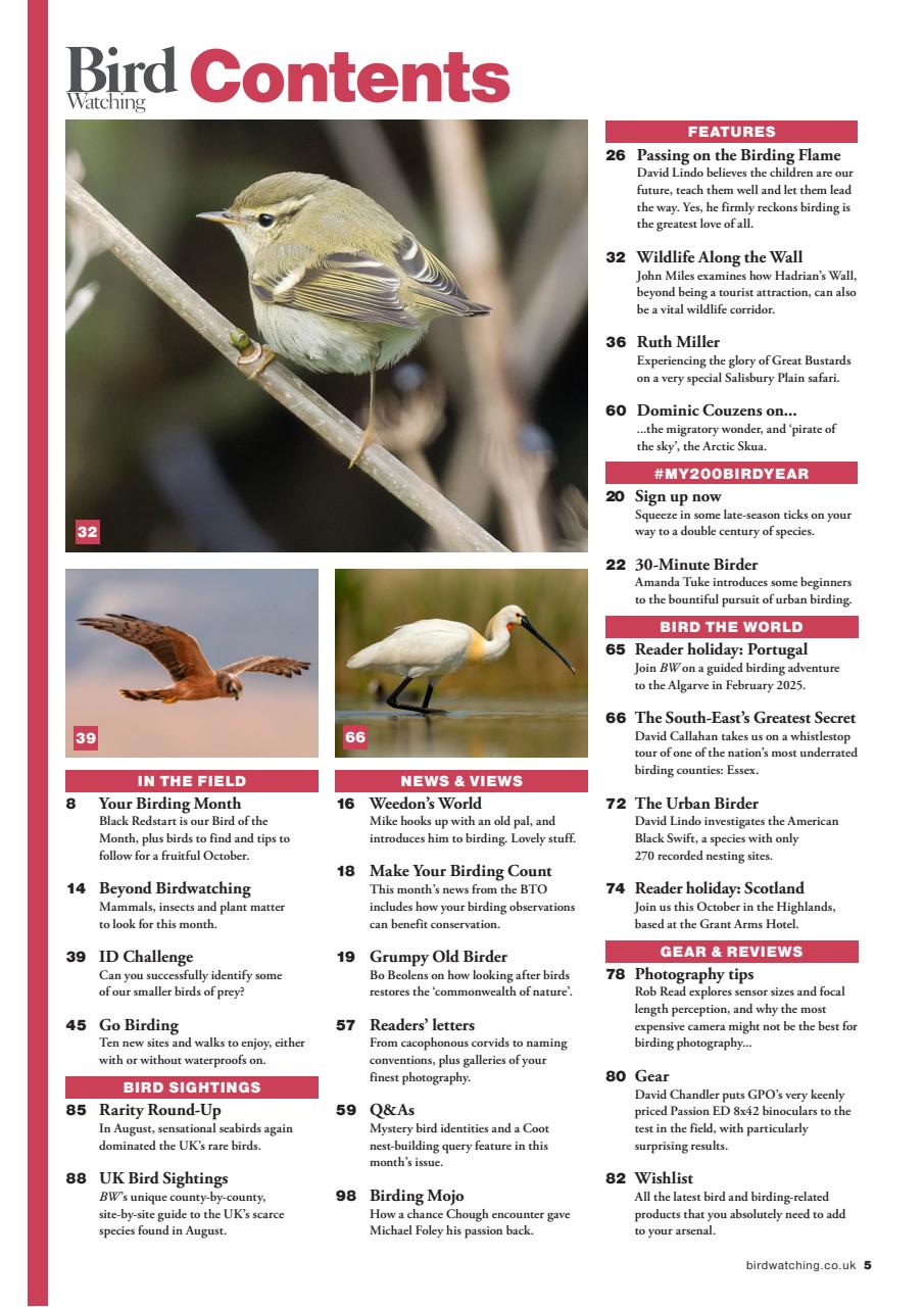 Bird Watching Preview Pages