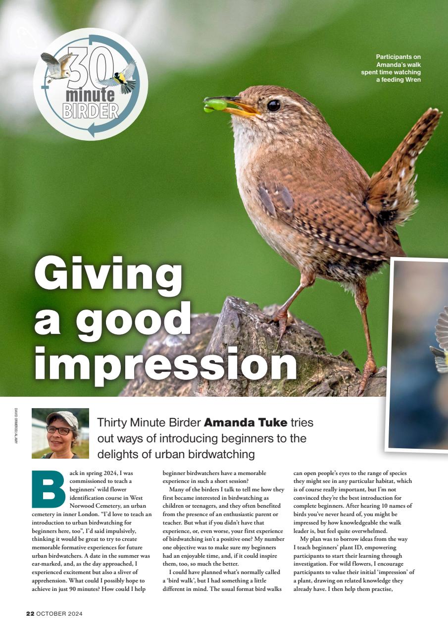Bird Watching Preview Pages