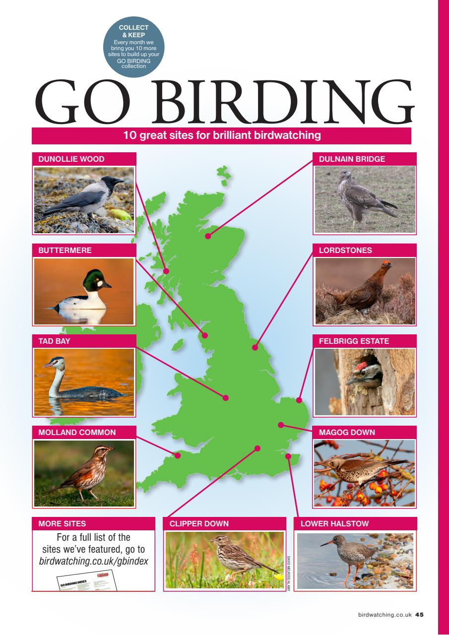 Bird Watching Preview Pages