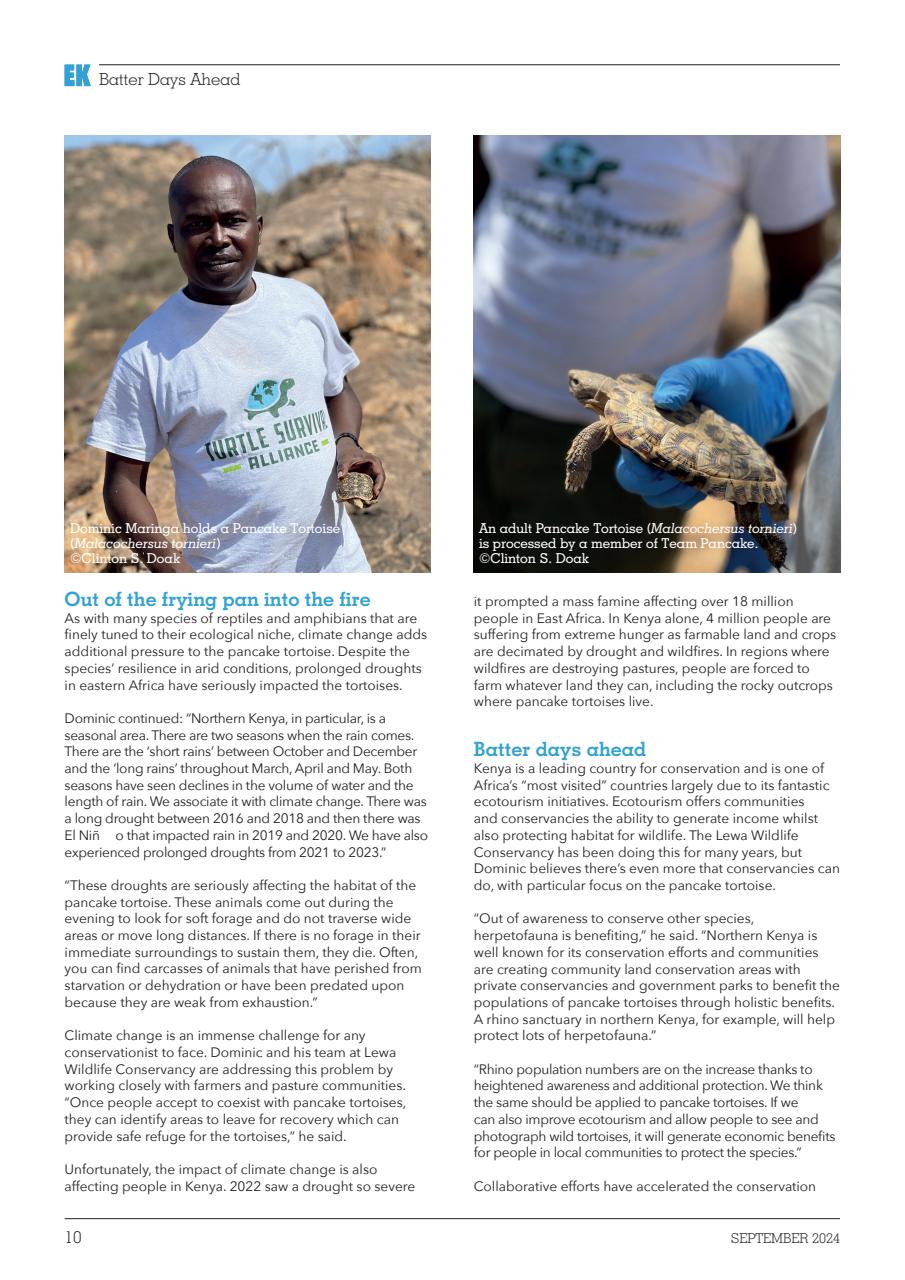 Exotics Keeper Preview Pages