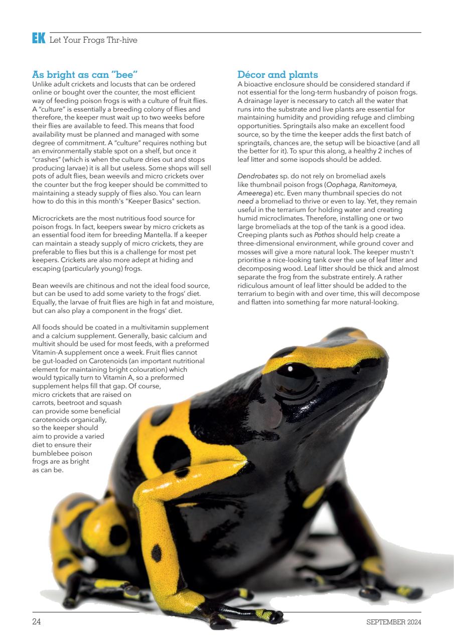 Exotics Keeper Preview Pages