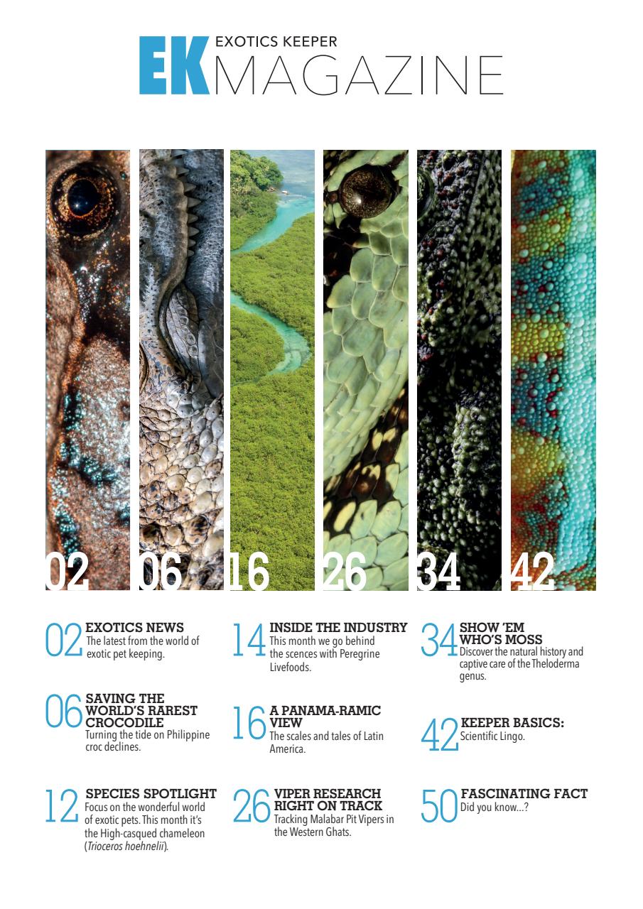 Exotics Keeper Preview Pages