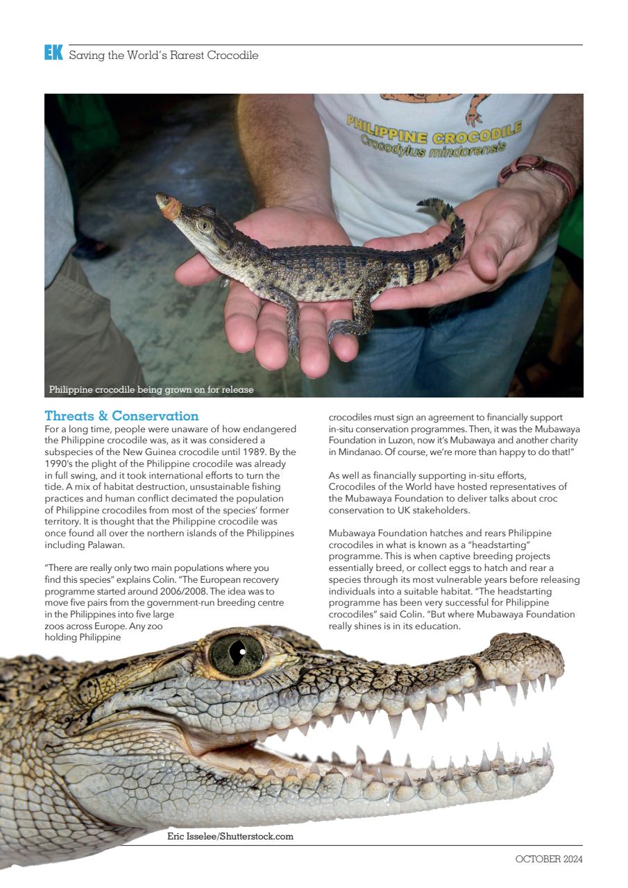 Exotics Keeper Preview Pages