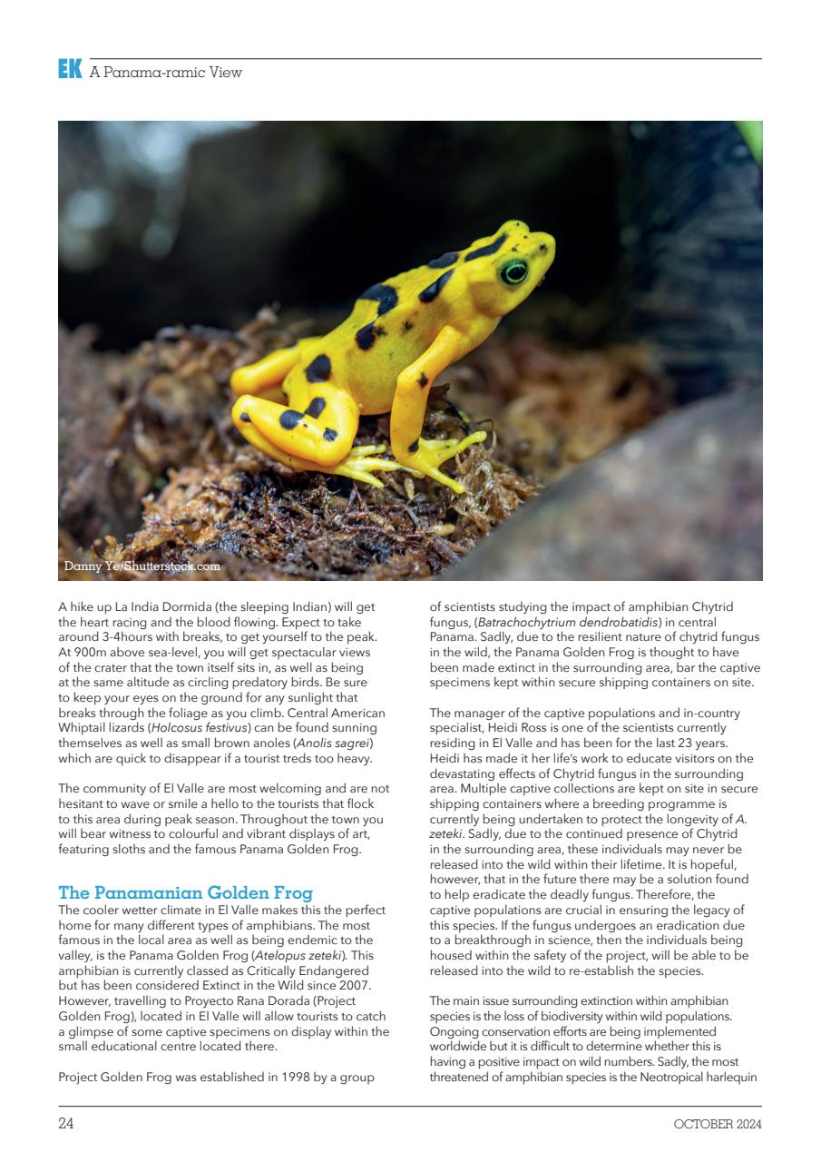 Exotics Keeper Preview Pages