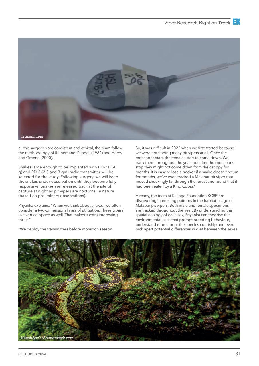 Exotics Keeper Preview Pages