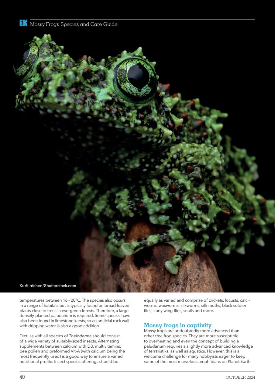 Exotics Keeper Preview Pages