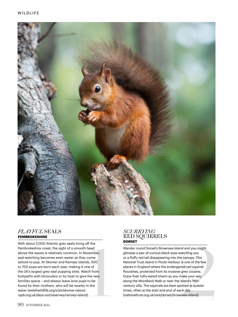 Country Living Preview Pages