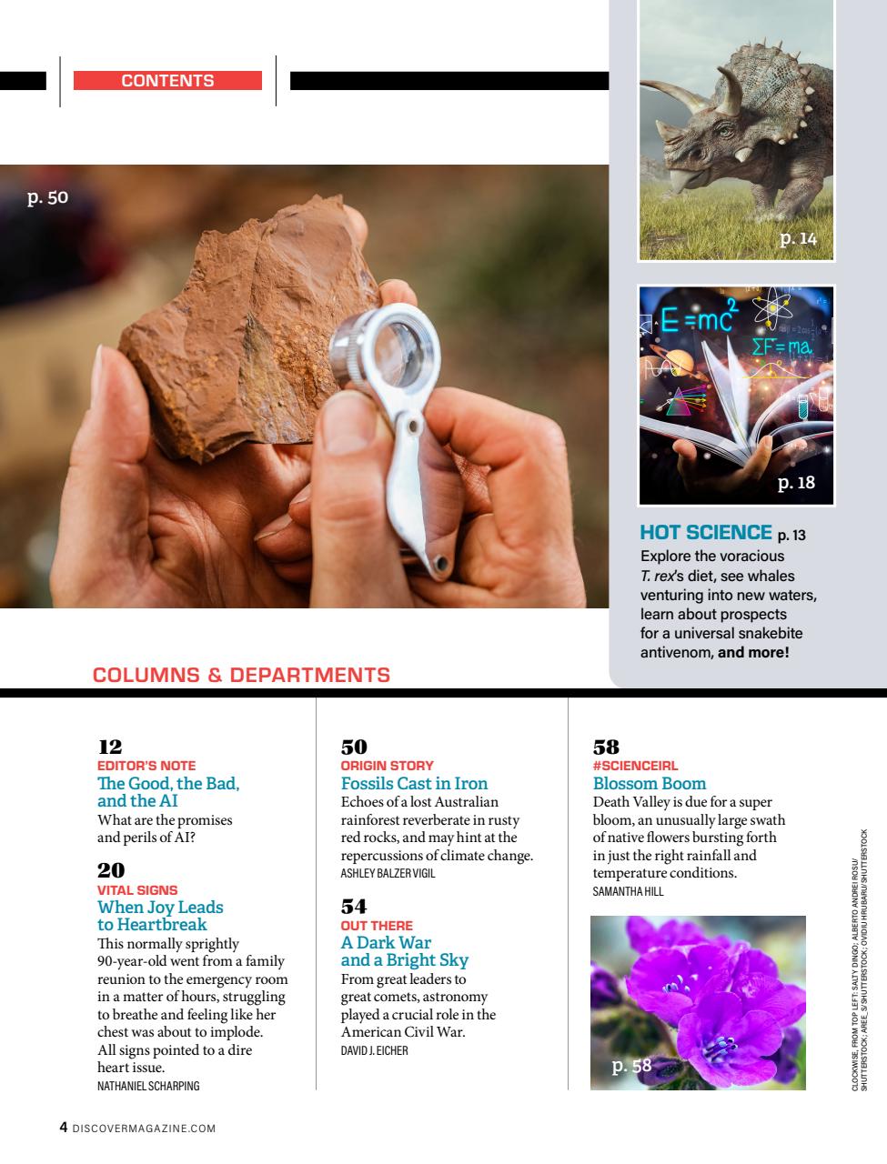 Discover Preview Pages