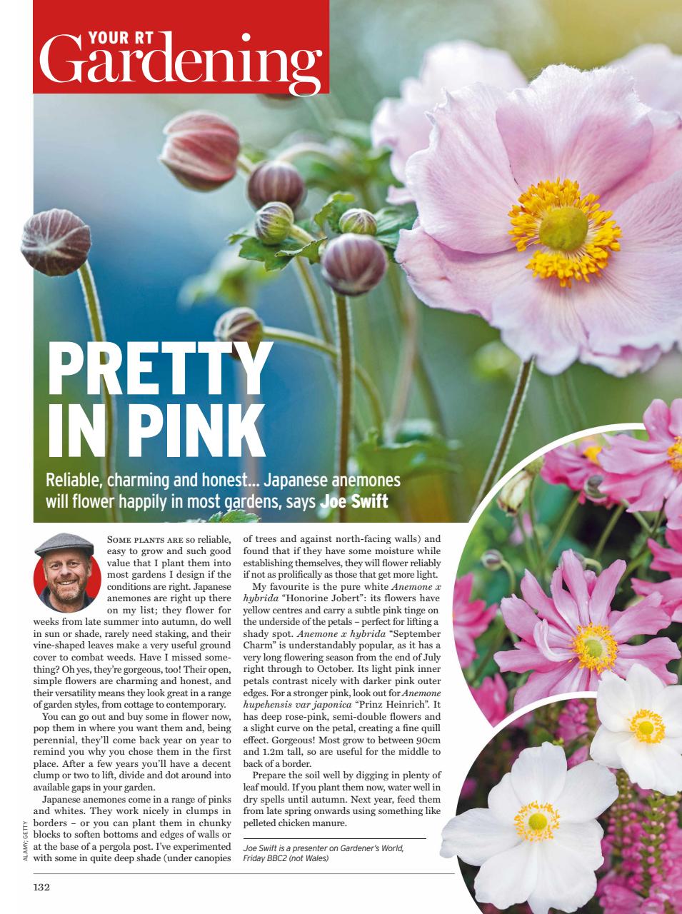 Radio Times Preview Pages