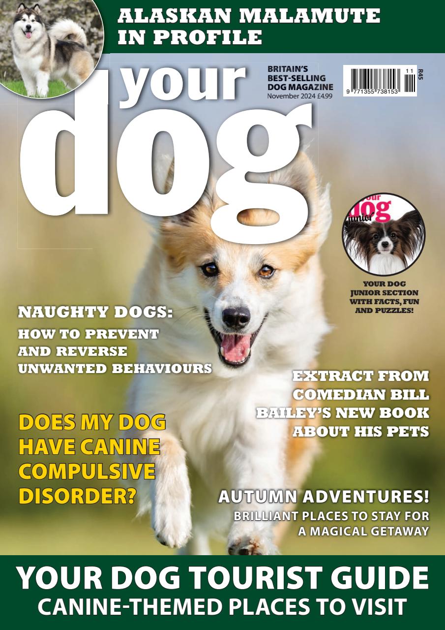 Your Dog Preview Pages