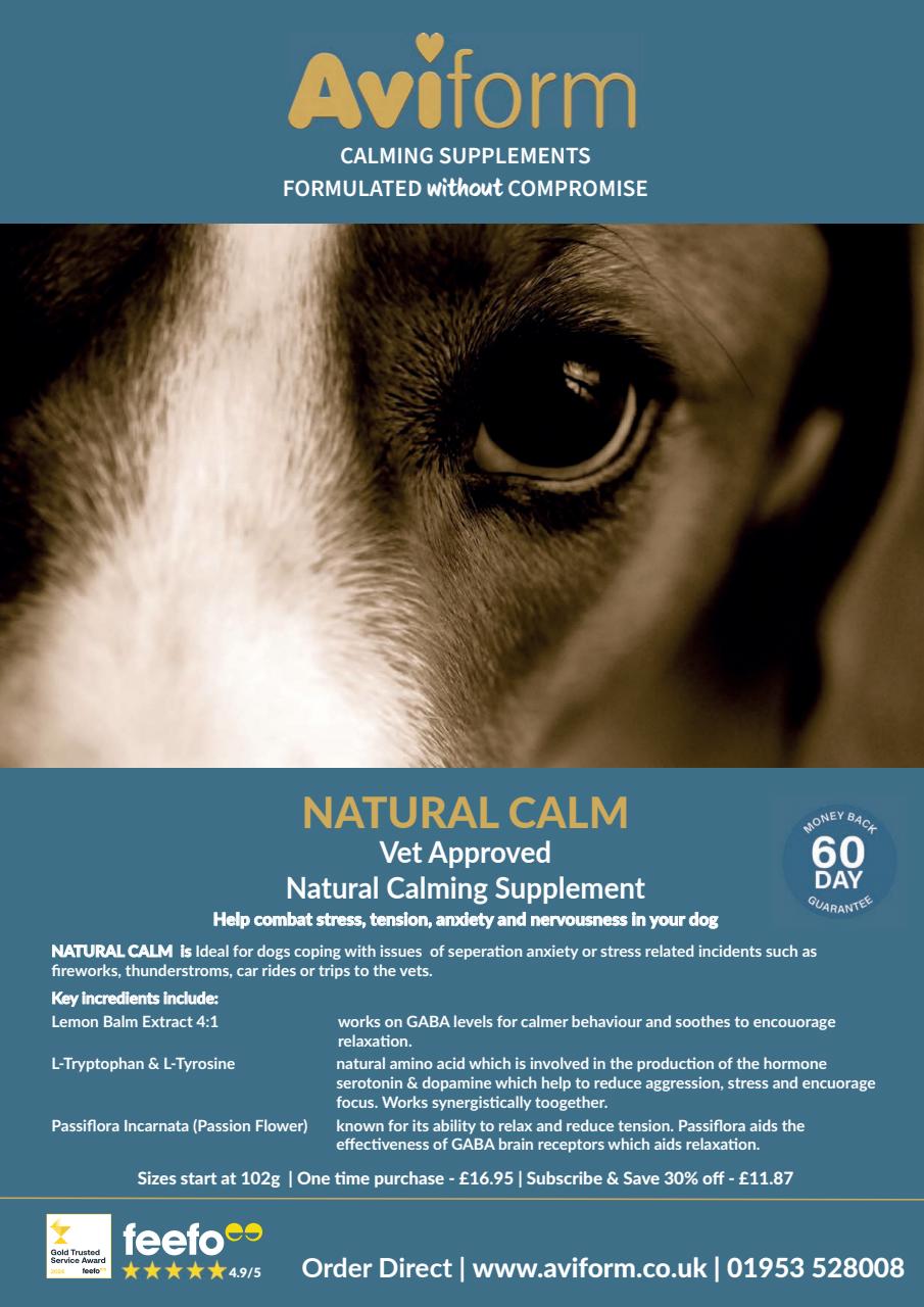 Your Dog Preview Pages