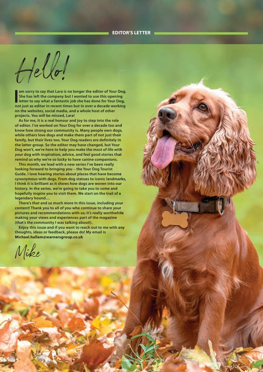 Your Dog Preview Pages