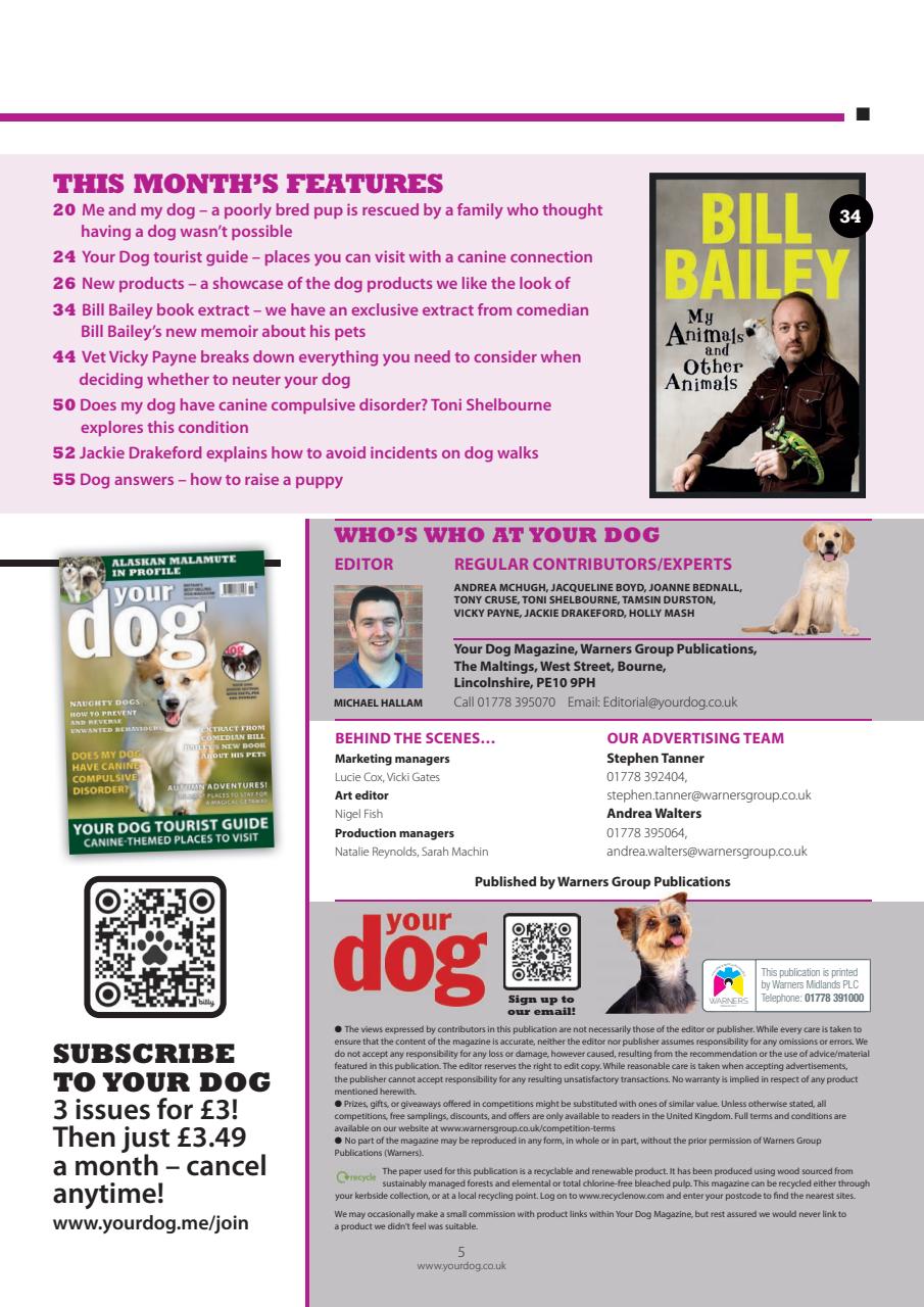 Your Dog Preview Pages