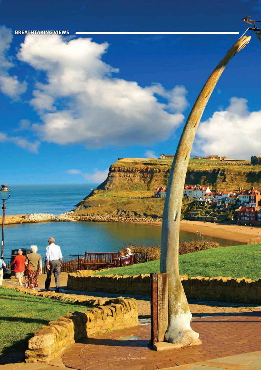 Your Dog Preview Pages