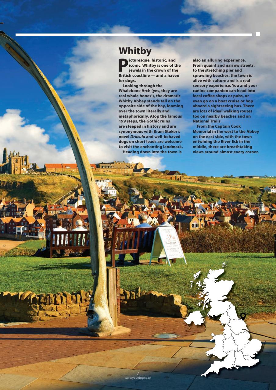 Your Dog Preview Pages