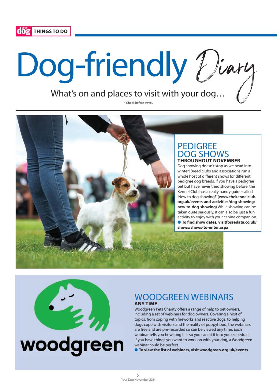 Your Dog Preview Pages