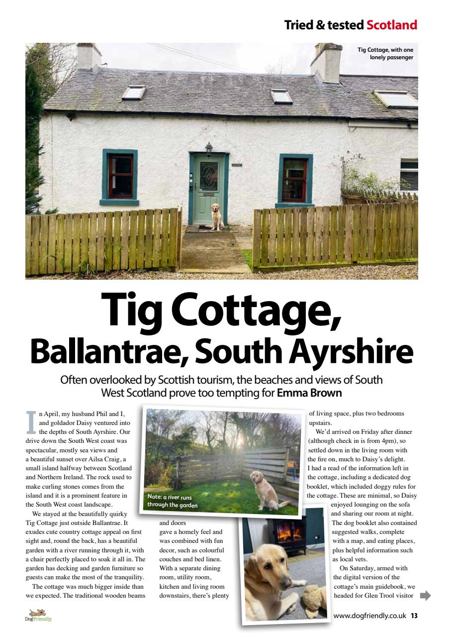 Dog Friendly Preview Pages