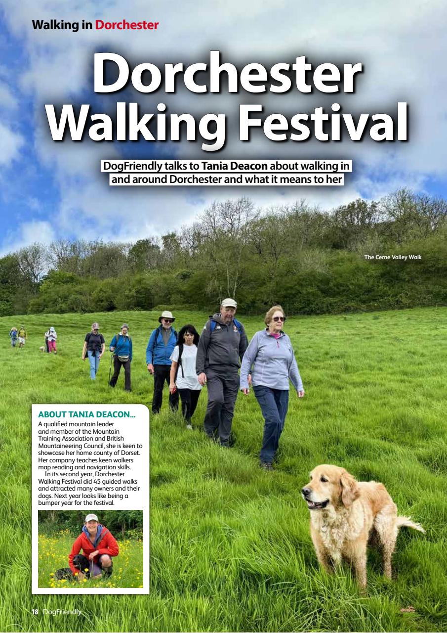 Dog Friendly Preview Pages