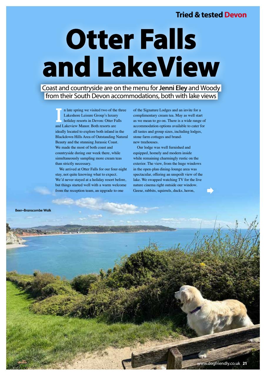 Dog Friendly Preview Pages