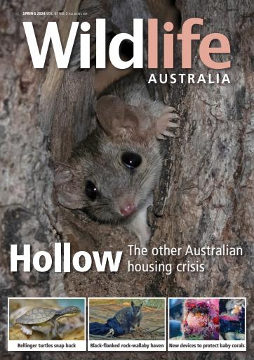 Wildlife Australia issue 